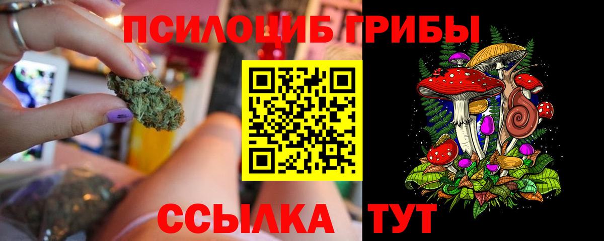 Псилоцибиновые грибы MAGIC MUSHROOMS  Псилоцибиновые грибы Psilocybine cubensis  Амурск  Вход с VPN 