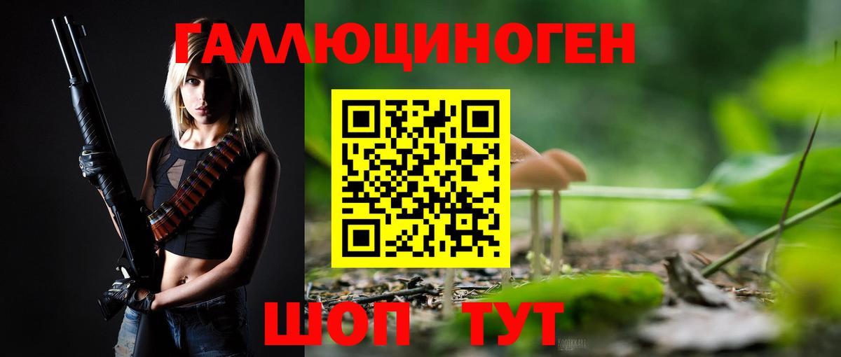 Псилоцибиновые грибы ЛСД Амурск